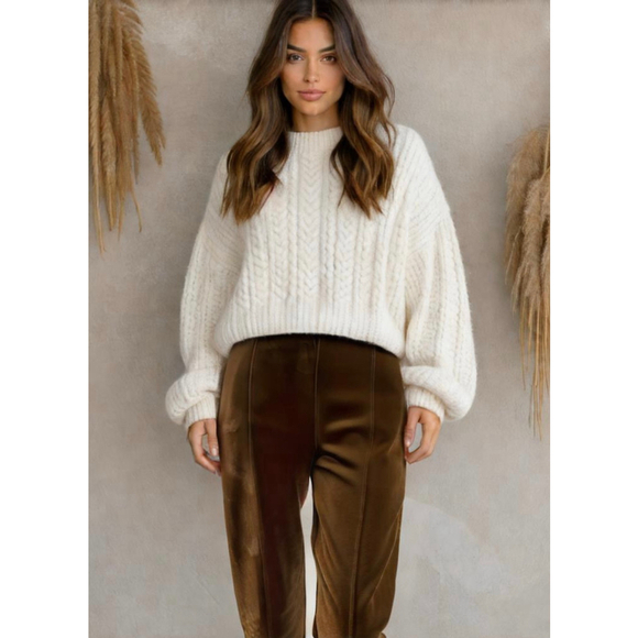Simply Vera Verawang Women's Pants Sz Lg Rust Faux Suede Stretch Relaxed Comfort - Picture 1 of 14